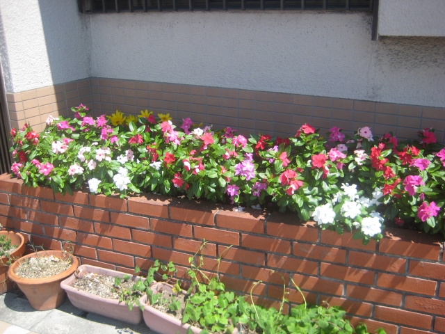 レンガで花壇を作る基本的な準備物や作業の流れ 創碧 Souheki 株式会社